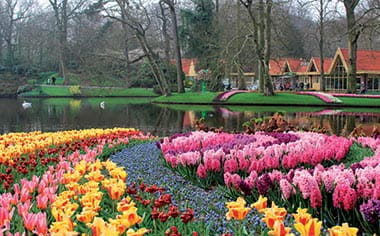 The tulips of Keukenhof Gardens, Netherlands
